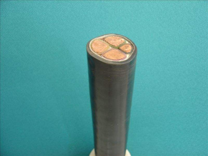 Fluoroplastic high temperature resistant power cable