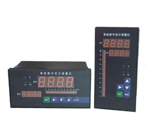 Intelligent digital display regulator