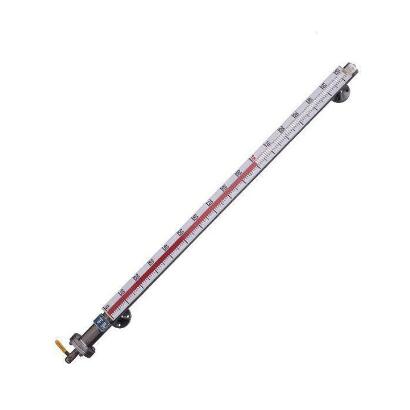 Side mounted magnetic flip level meter